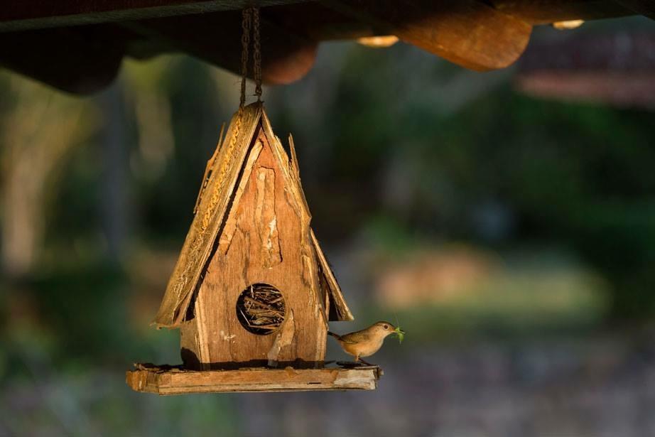 Hotel Fazenda Colibri Amargosa Bagian luar foto